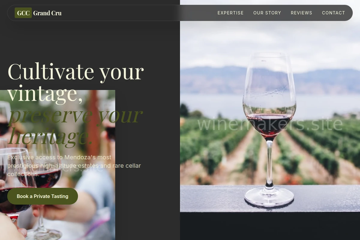 Mendoza Wine