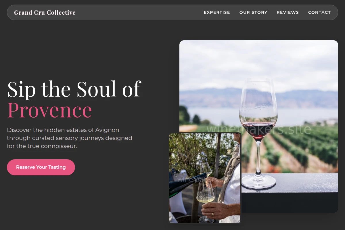 Avignon Wine Tasting